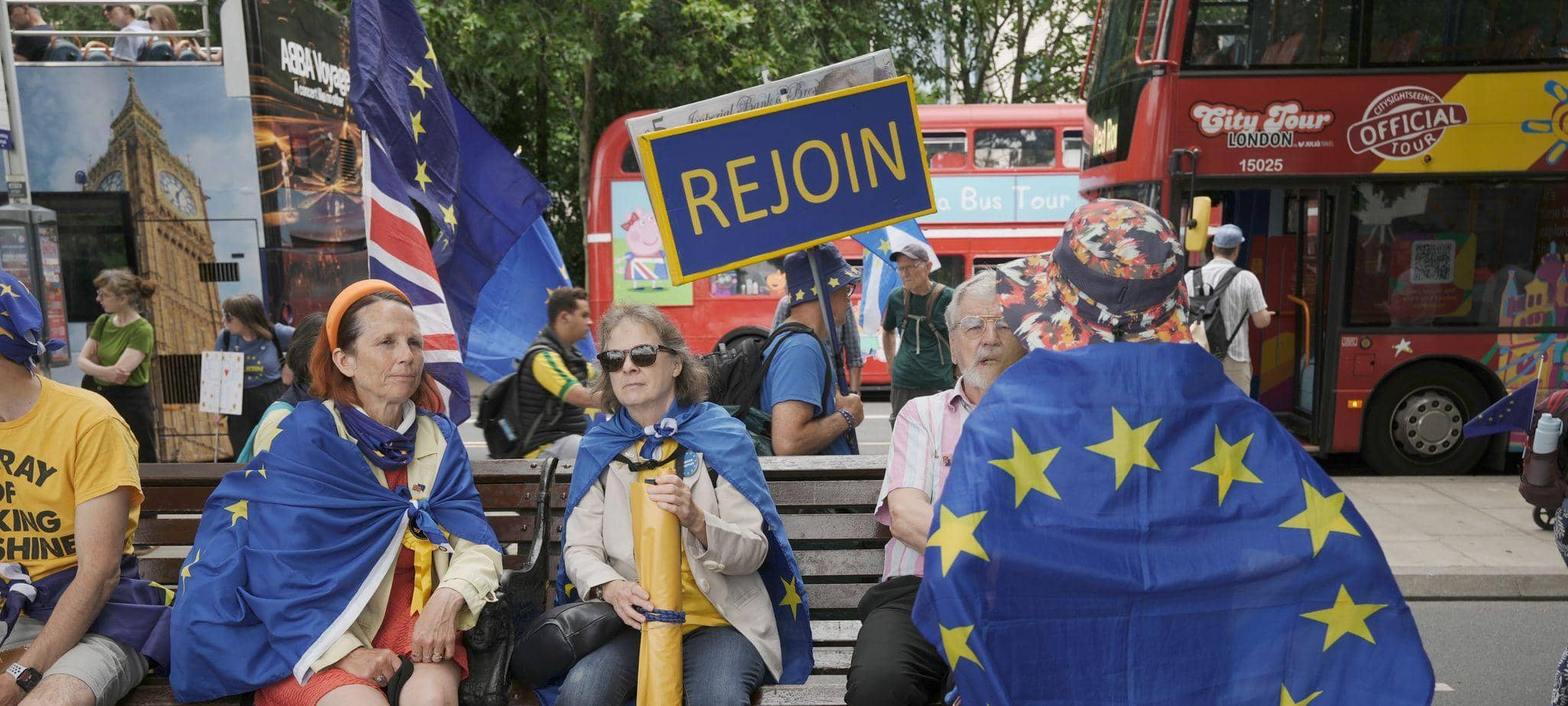 „National Rejoin March“-Demonstration in London