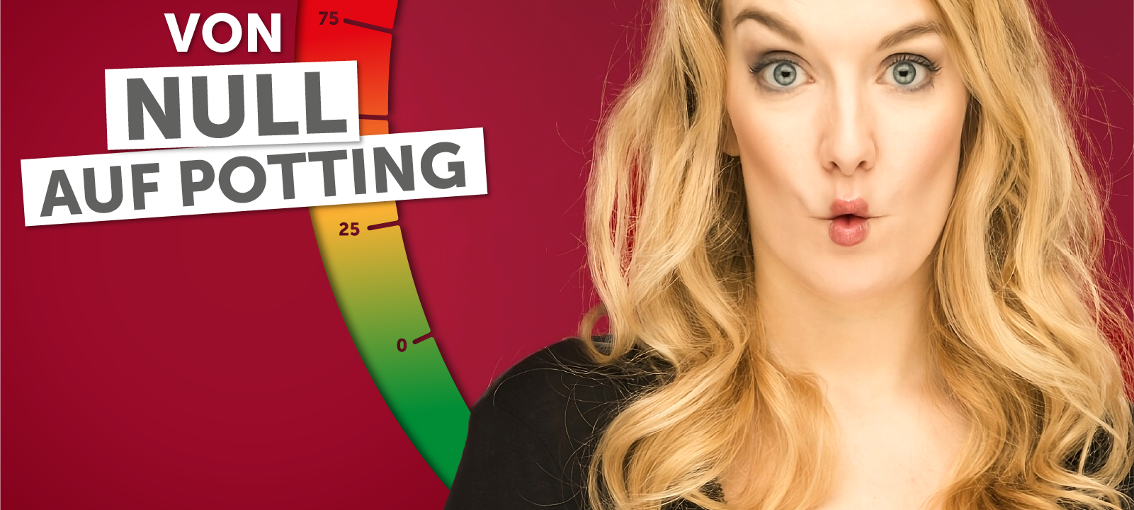 Von Null auf Potting: "DPD-Chatbot"