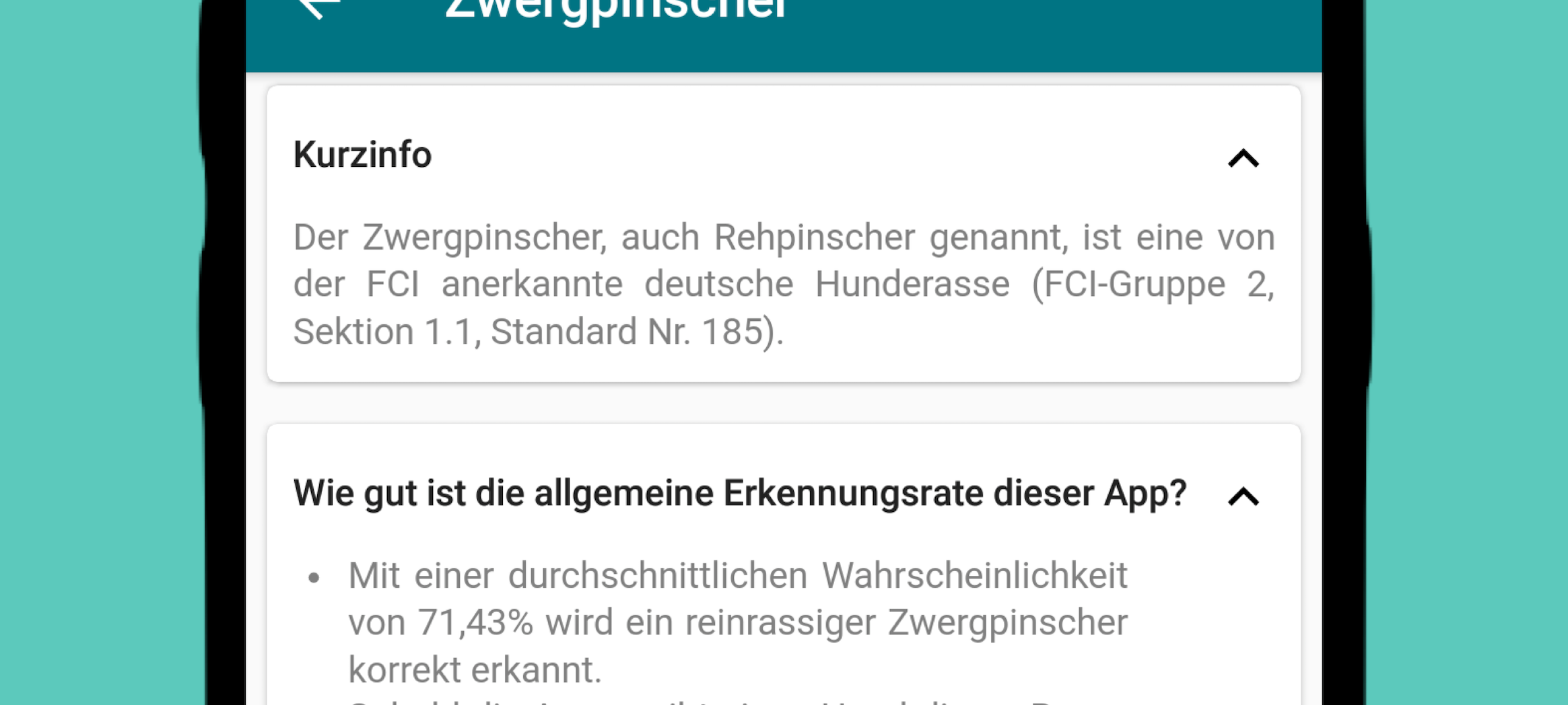 Mops, Pudel oder Zwergspitz - Welcher Hund bist du?