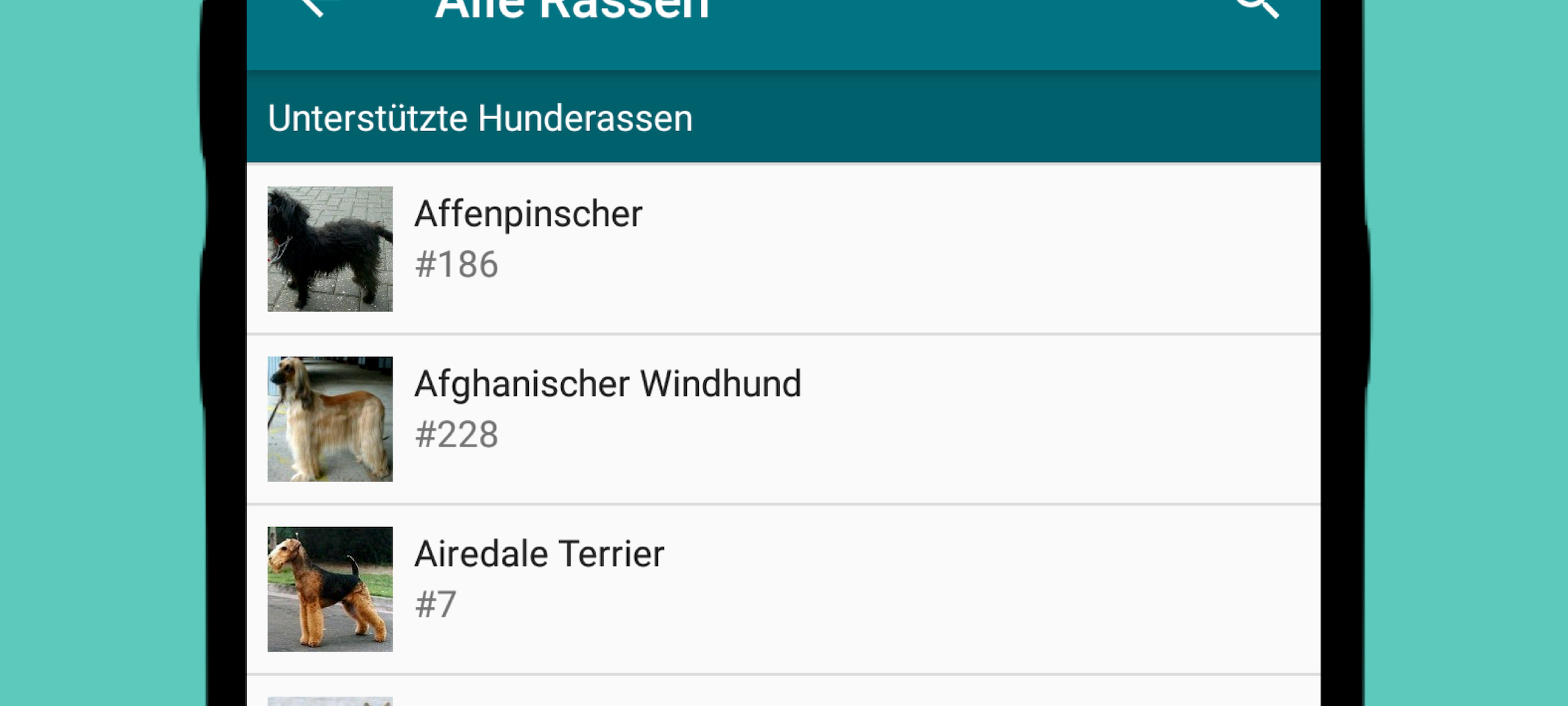 Mops, Pudel oder Zwergspitz - Welcher Hund bist du?