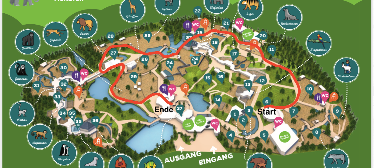 Galaktischer Tag im Allwetterzoo